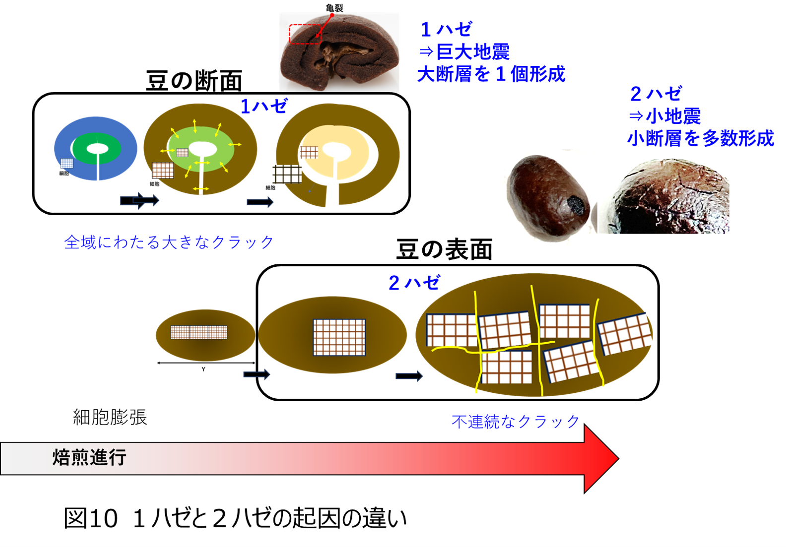 ＠説明欄必須 調光偏光 フォトポラ 濃度50%～最大80%(23℃) 内面非球面1.60